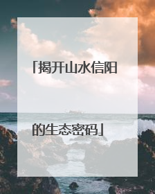 揭开山水信阳的生态密码